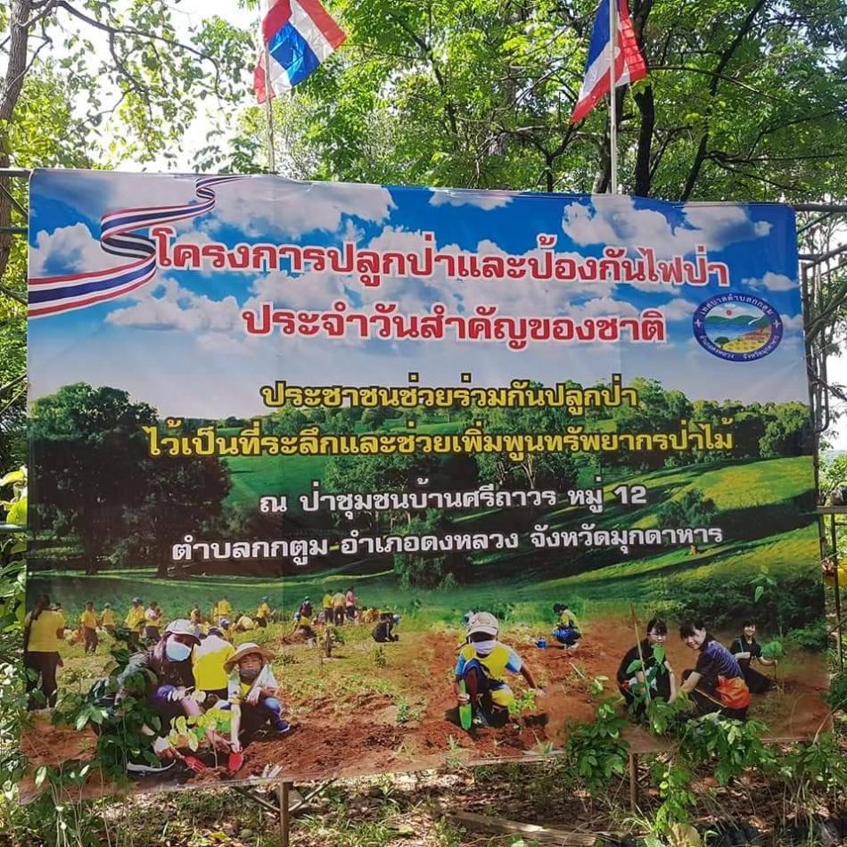 อำเภอดงหลวงร่วมกับ ทต.กกตูม หน่วยงานในพื้นที่ตำบลกกตูม ฝ่ายปกครอง จิตอาสา ร่วมกิจกรรมปลูกป่า บริเวณอ่างเก็บน้ำห้วยไผ่ ตำบลกกตูม อำเภอดงหลวง  จังหวัดมุกดาหาร